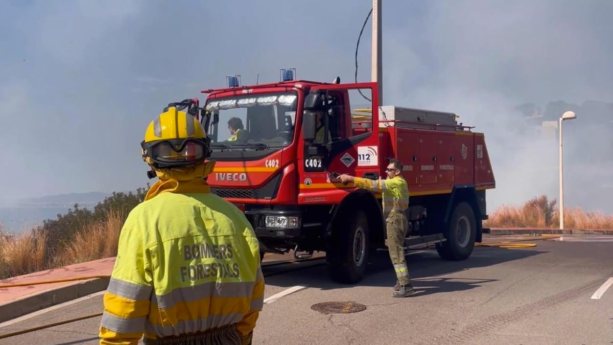 bomberos forestales trabajando