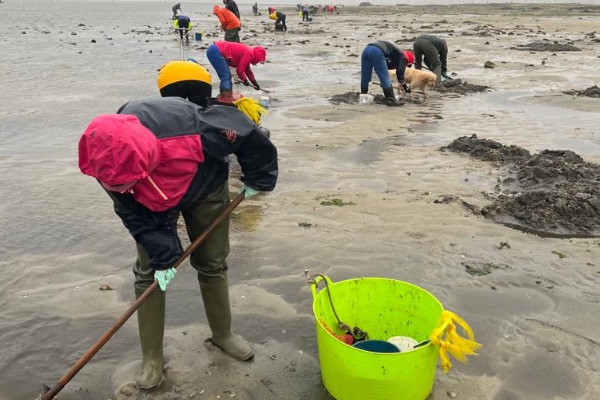 Mariscadoras trabajando