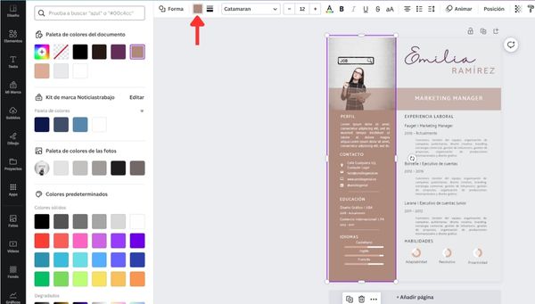 Cambiar colores el CV en Canva